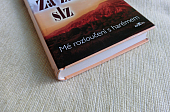 Za závojem slz