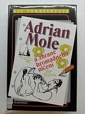 Adrian Mole a zbraně hromadného ničení