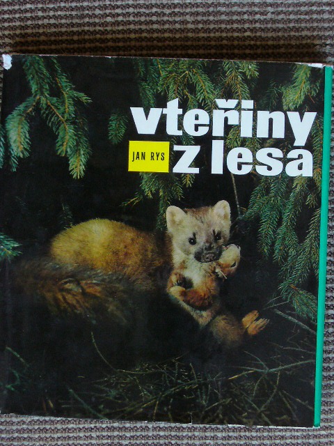 Vteřiny z lesa