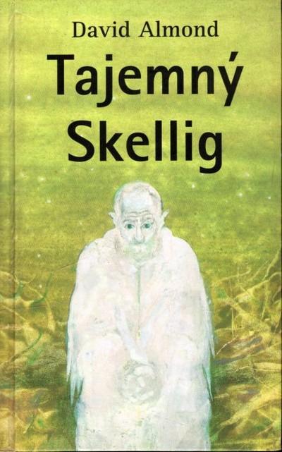 Tajemný Skellig