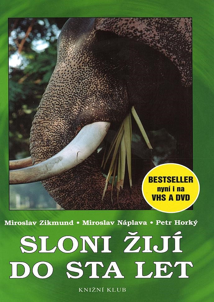 Sloni žijí do sta let