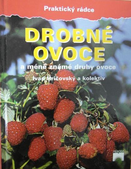 Drobné ovoce a méně známé druhy ovoce