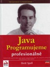 Java Programujeme profesionálně