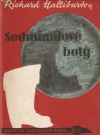 Sedmimílové boty