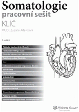 Somatologie - pracovní sešit, klíč