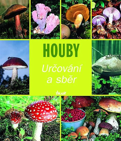 Houby - určování a sběr