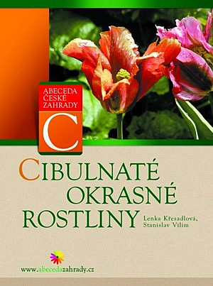 Cibulnaté okrasné rostliny