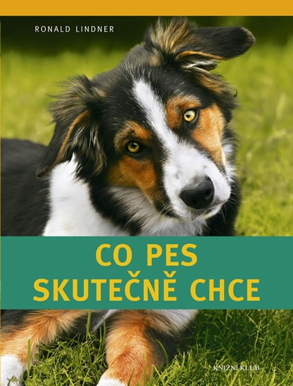 Co pes skutečně chce