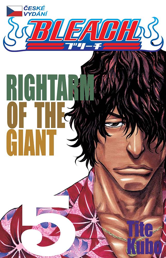 Rightarm of the giant