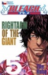 Rightarm of the giant