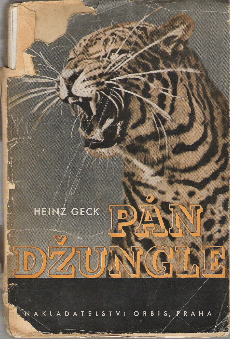 Pán džungle