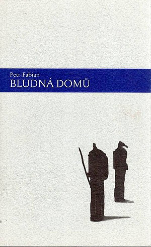 Bludná domů