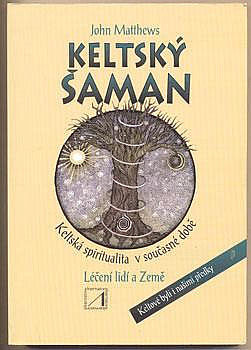 Keltský šaman