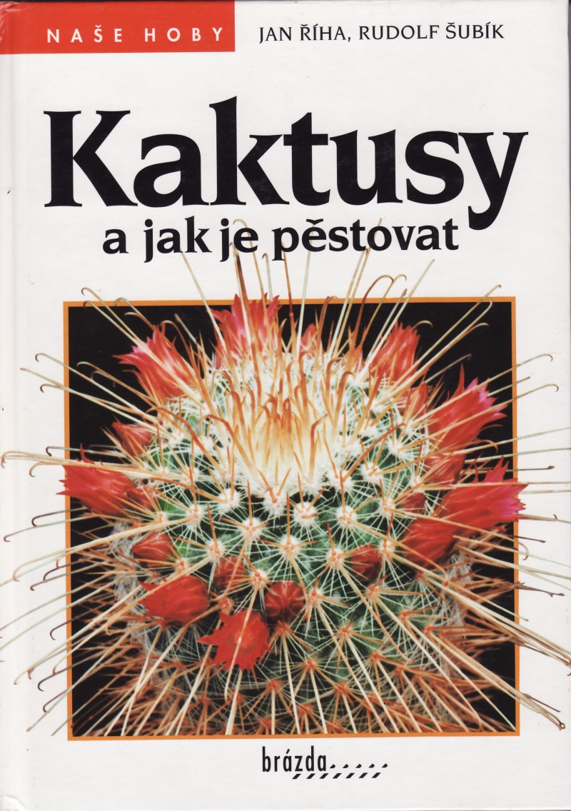 Kaktusy a jak je pěstovat