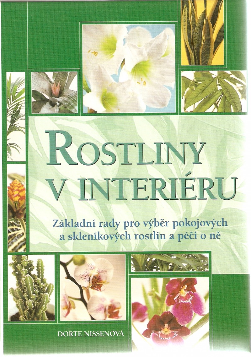 Rostliny v interiéru