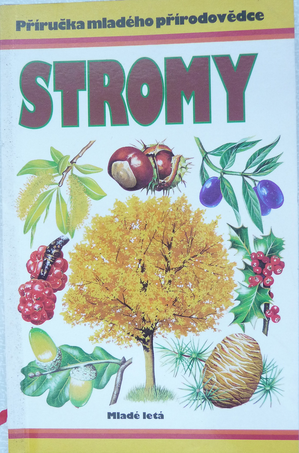 Stromy - Příručka mladého přírodovědce