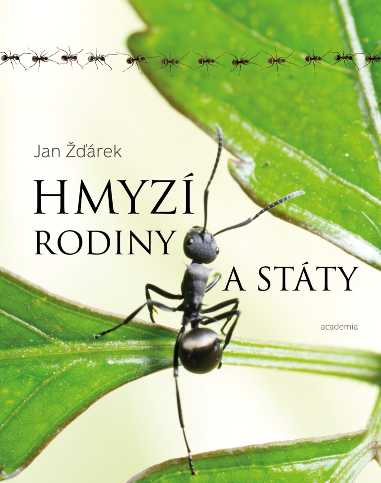 Hmyzí rodiny a státy