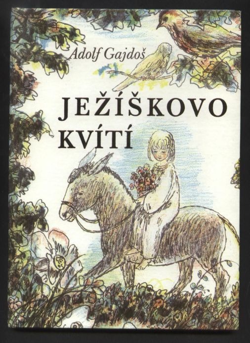 Ježíškovo kvítí