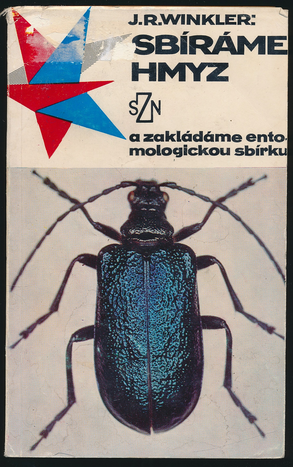 Sbíráme hmyz a zakládáme entomologickou sbírku