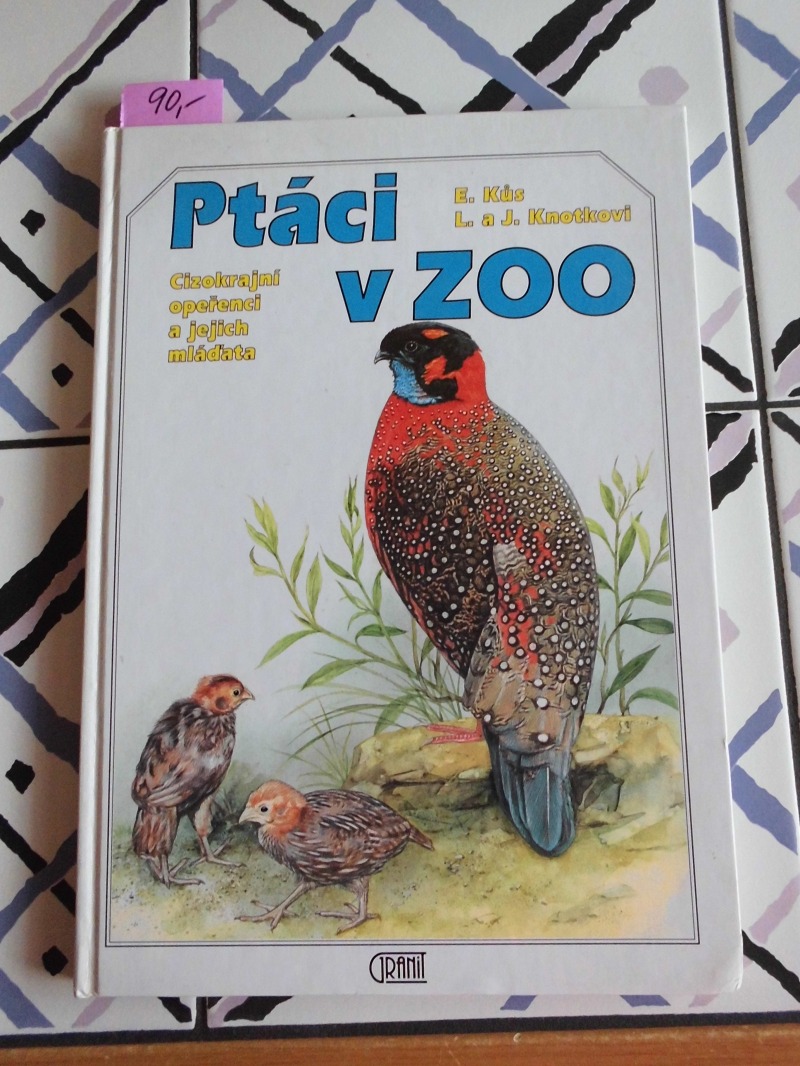 Ptáci v Zoo