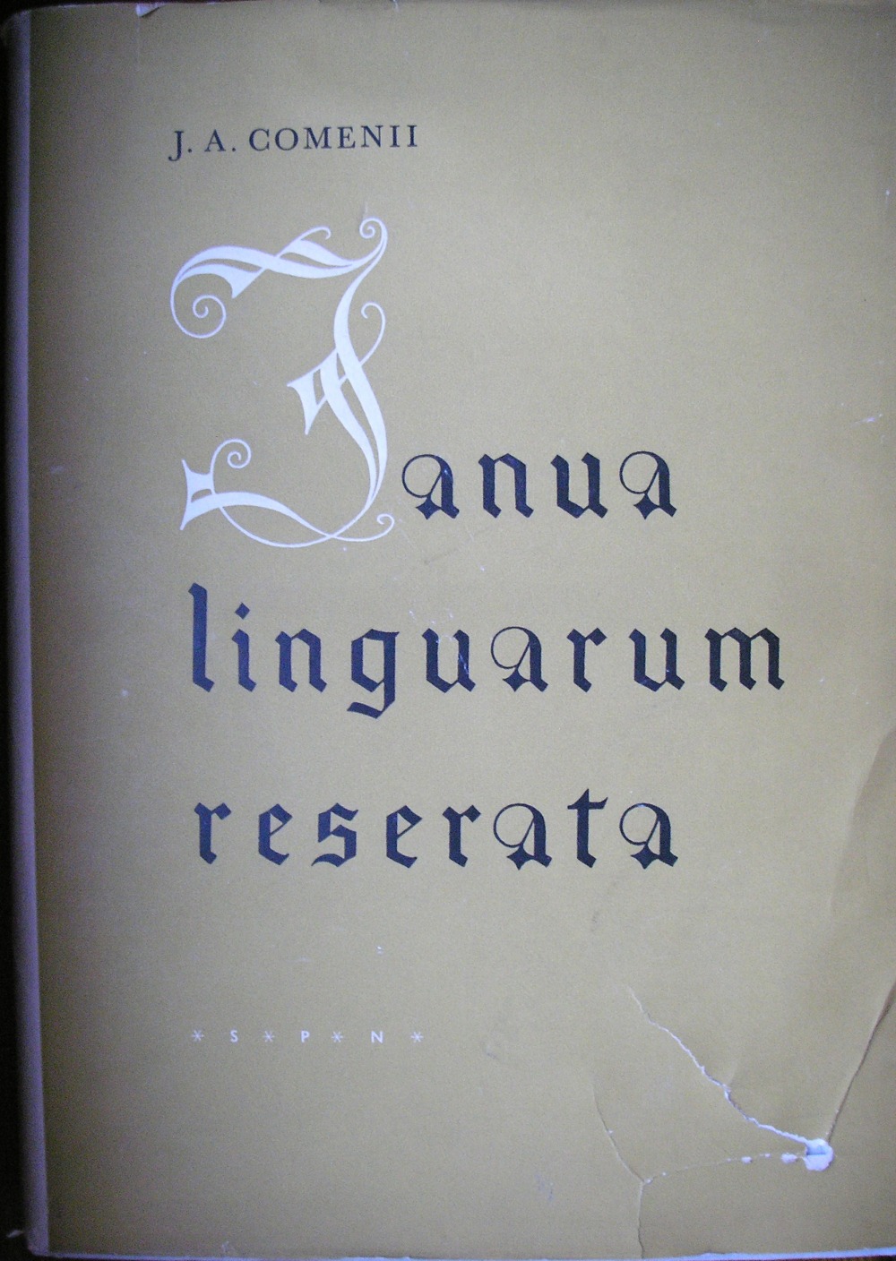 Janua linguarum reserata