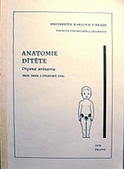 Anatomie dítěte - Organa urinaria