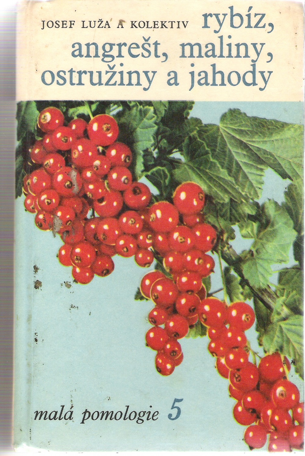 Rybíz, angrešt, maliny, ostružiny a jahody