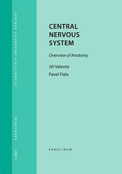 Central Nervous System - Overview of Anatomy