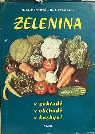 Zelenina v zahradě, v obchodě, v kuchyni