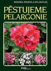 Pěstujeme pelargonie