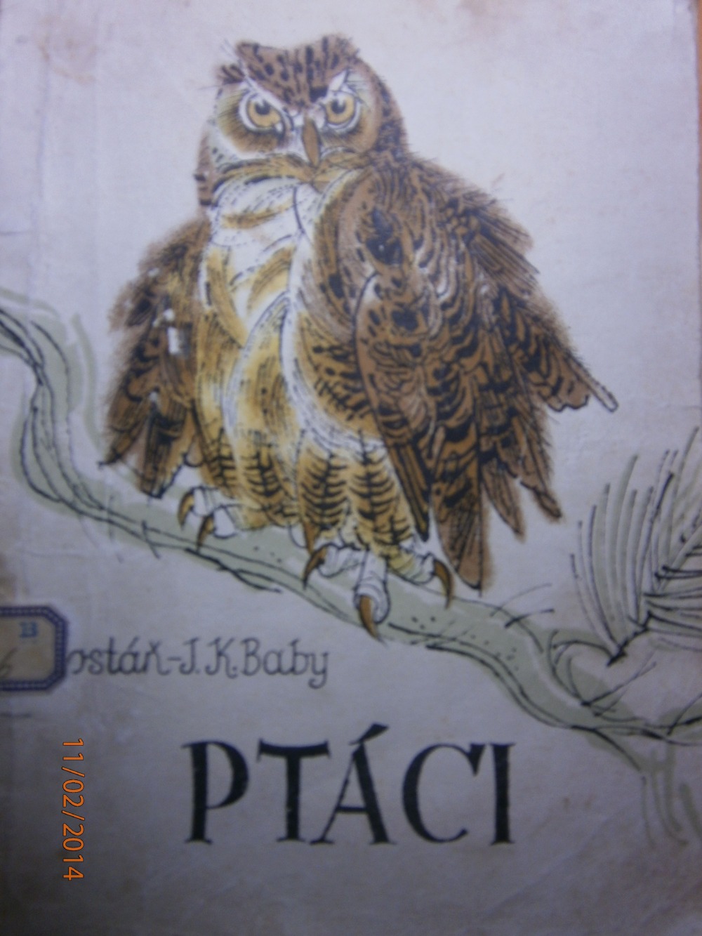 Ptáci