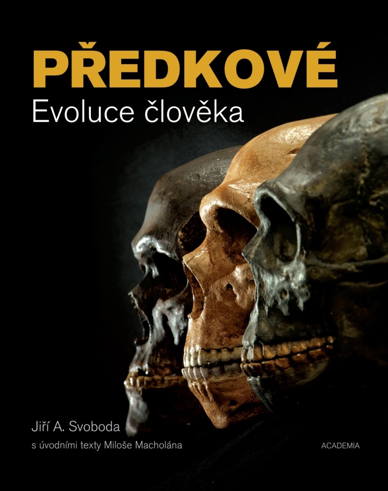 Předkové: Evoluce člověka