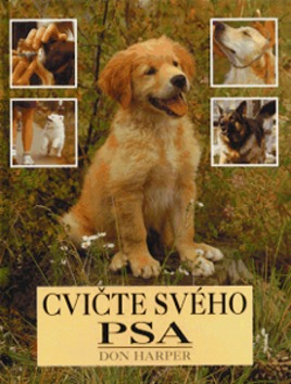 Cvičte svého psa