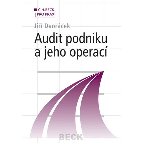 Audit podniku a jeho operací