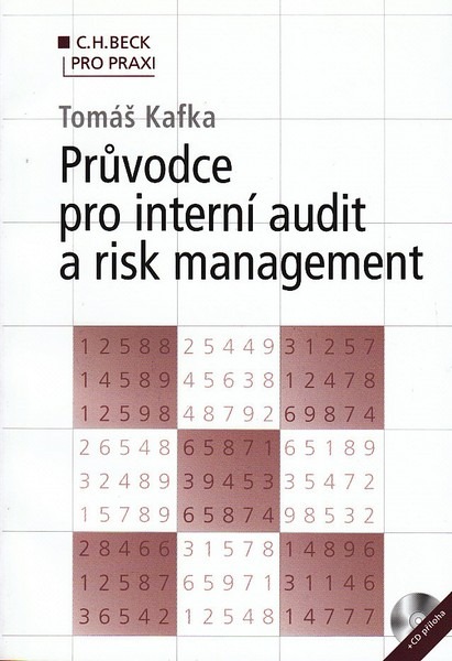 Průvodce pro interní audit a risk management