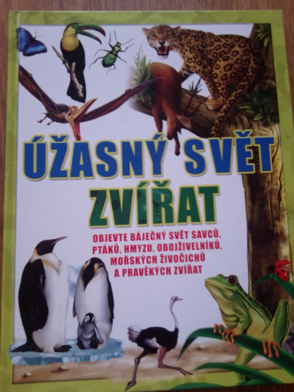 Úžasný svět zvířat