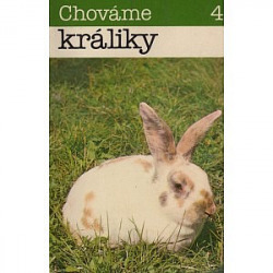 Chováme králiky