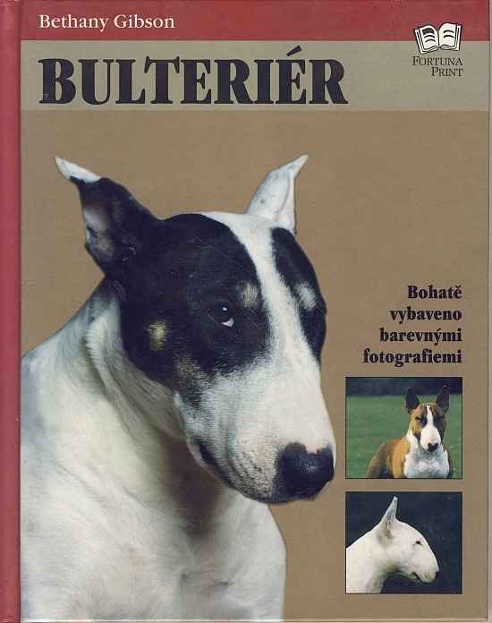 Bulteriér