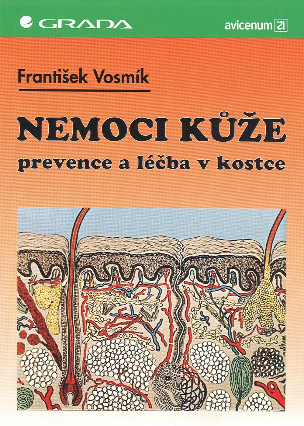 Nemoci kůže: prevence a léčba v kostce