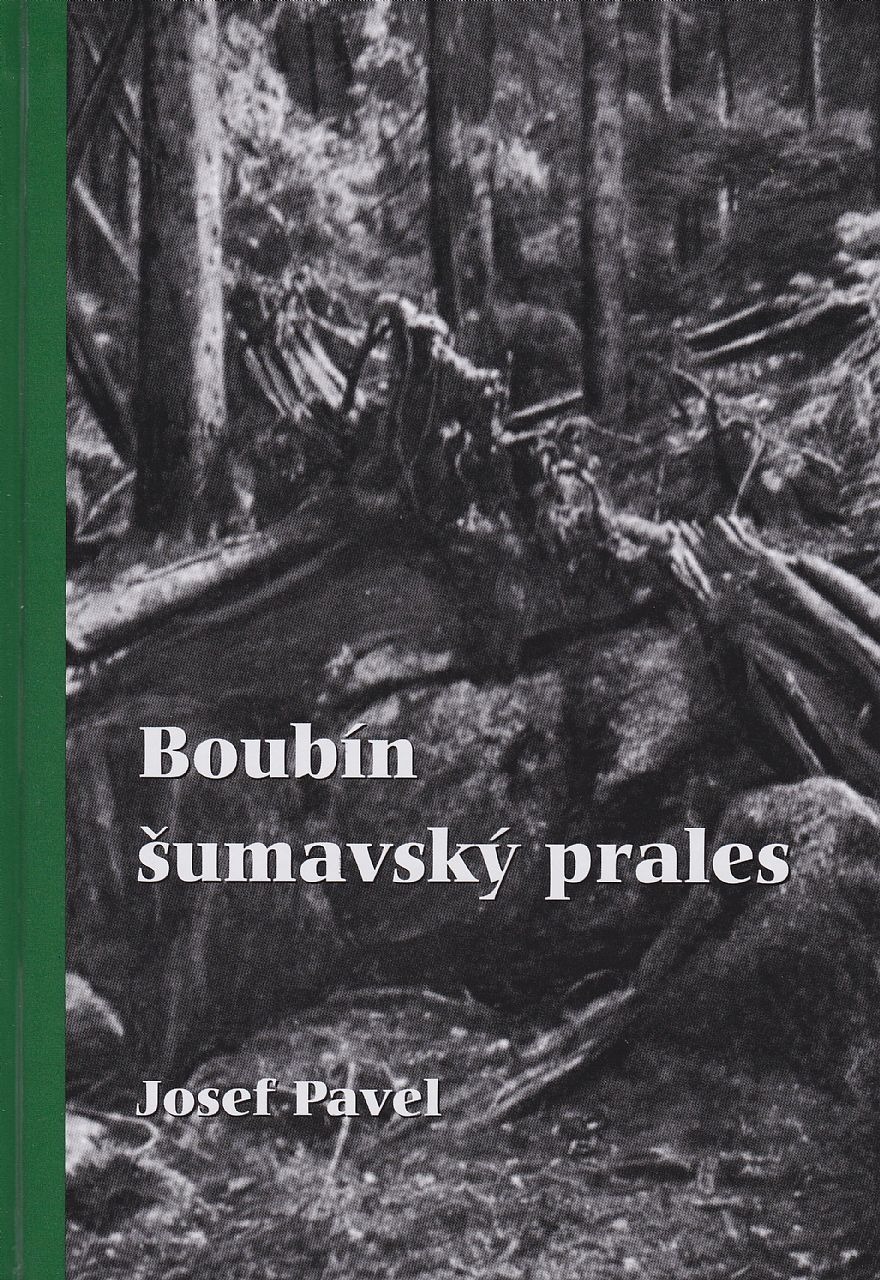 Boubín - šumavský prales