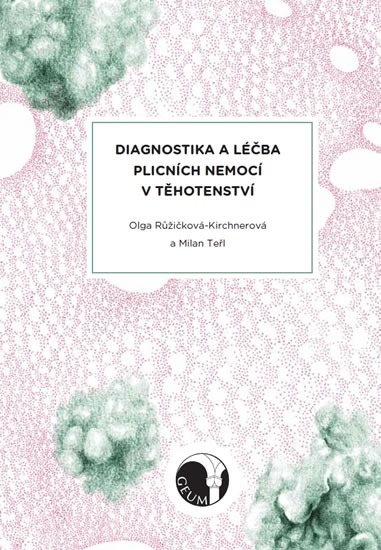 Diagnostika a léčba plicních nemocí v těhotenství