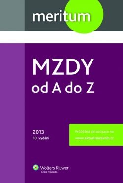 Mzdy od A do Z 2013