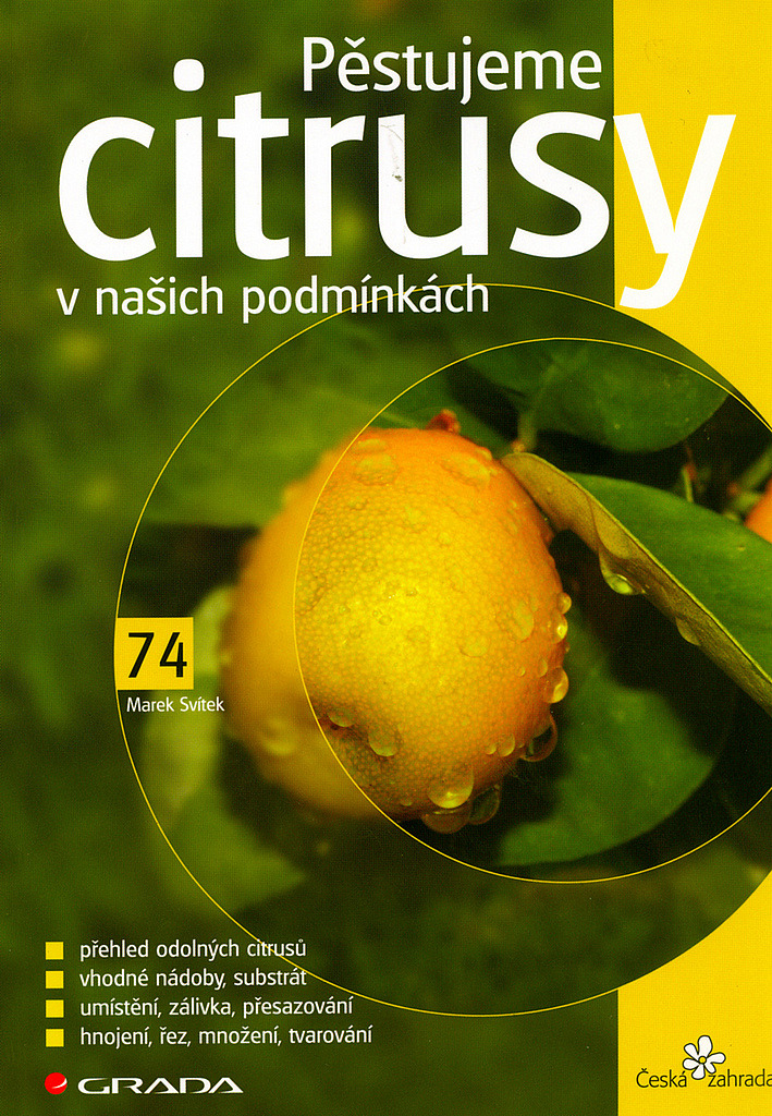 Pěstujeme citrusy v našich podmínkách