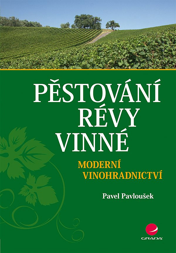 Pěstování révy vinné: Moderní vinohradnictví