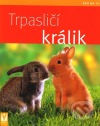 Trpasličí králik