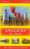 Anglicky Zn.: Ihned