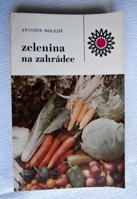 Zelenina na zahrádce