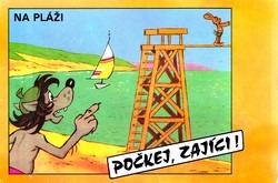 Počkej, zajíci! Na pláži