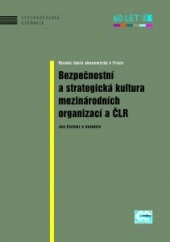 Bezpečnostní a strategická kultura mezinárodních organizací a ČLR