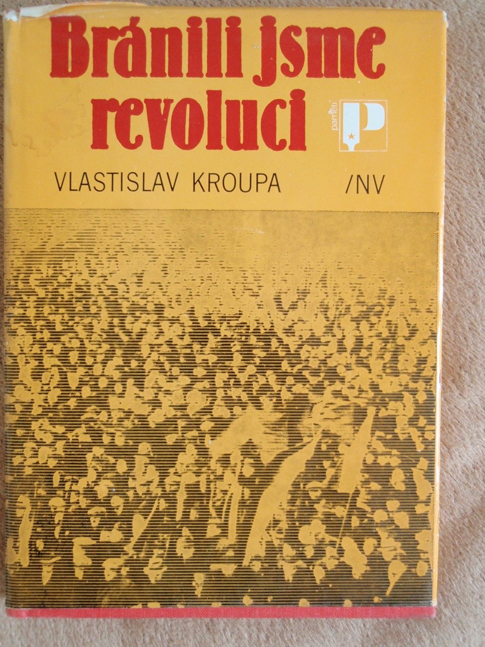 Bránili jsme revoluci